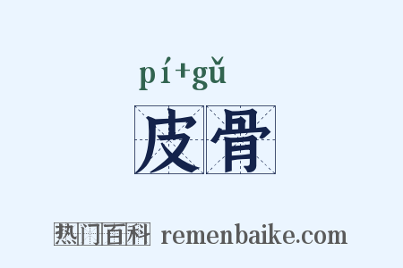 皮骨是什么意思的图片